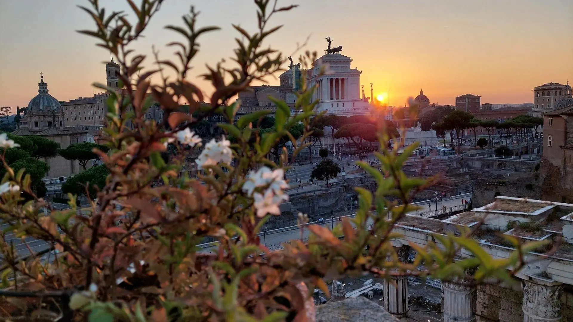 ** Konukevi Residenza Maritti Classic Rooms - Guesthouse Roma İtalya
